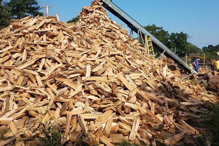 Pile of seasoned firewood for delivery